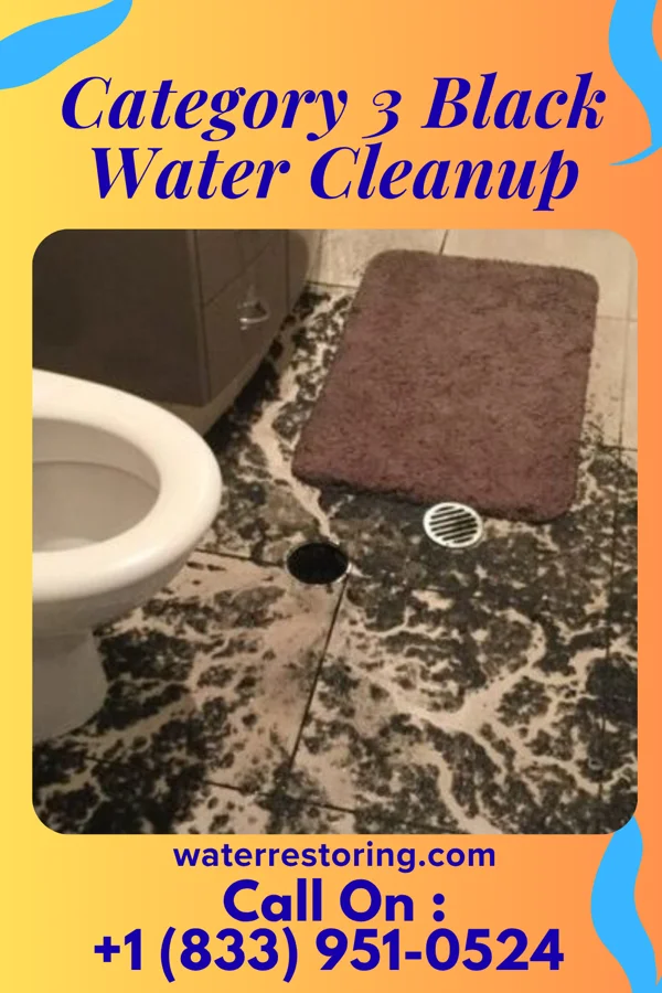 Category 3 Black Water Cleanup in Beavertown, PA