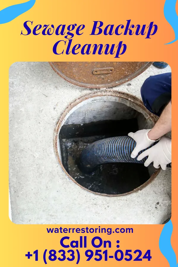 Sewage Backup Cleanup in Beavertown, PA