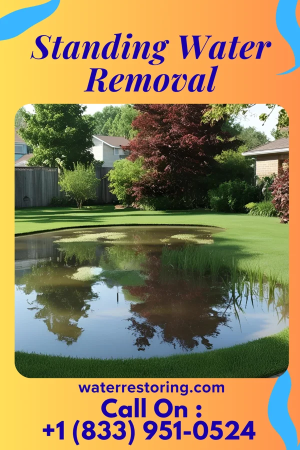 Standing Water Removal in Beavertown, PA